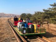 Российским дипломатам пришлось возвращаться из КНДР на дрезине