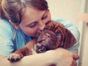 От чего зависит состояние собаки: подбираем питание