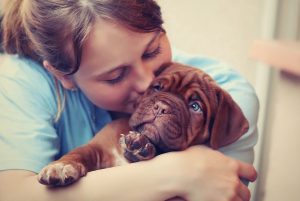 От чего зависит состояние собаки: подбираем питание