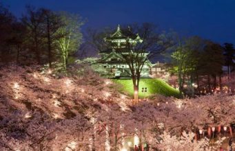 Фестиваль цветущей вишни скоро пройдёт в японском парке Такада