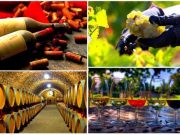 Искушение вином: новый формат винного туризма по России будет представлен на «Интурмаркете»