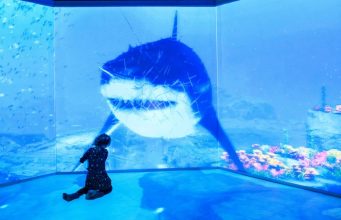 Левиафан, мозазавр и мегалодон: в «Москвариуме» начался «юрский период»