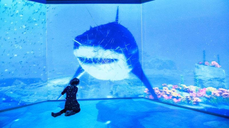 Левиафан, мозазавр и мегалодон: в &laquo;Москвариуме&raquo; начался &laquo;юрский период&raquo;