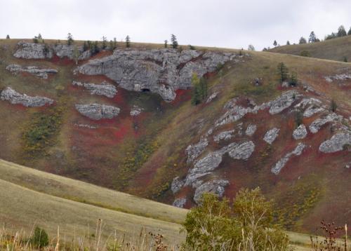 Ограничения по России: куда можно ехать спокойно, а где ждёт карантин