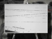 Самая известная фотография с протестов в Екатеринбурге продана за 400 тысяч рублей