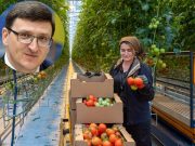 Специалист по международному трудоустройству Василий Воскобойник: Главная опасность для трудового мигранта – стать иностранцем-нелегалом