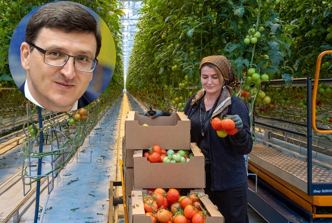 Специалист по международному трудоустройству Василий Воскобойник: Главная опасность для трудового мигранта – стать иностранцем-нелегалом