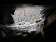 Украинские силовики обстреляли окраины Донецка