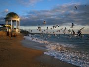 Как добраться до Бердянска?