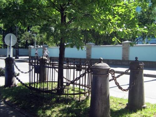 Деревья Санкт-Петербурга как знаки истории Дома Романовых