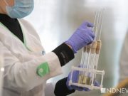 Итальянские врачи: коронавирус, мутировав, полностью меняет симптоматику