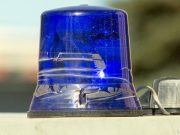 Как украсть миллион: в Москве задержан возможный похититель картины Богданова-Бельского