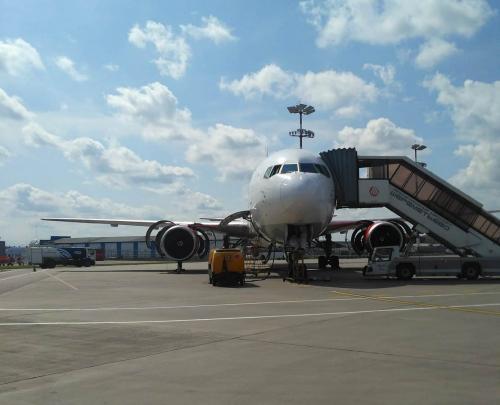 Куда путешественники поедут отогреваться в апреле, и во сколько обходится перелет