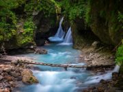 Новый железнодорожный круиз покажет красоты российского юга