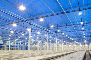 Разновидности светодиодного освещения