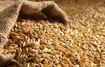 Украина с 10 апреля запретила ввоз из России пшеницы, подсолнечного масла и бумаги