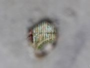 Вальпургиева жизнь: первомайский психотренинг