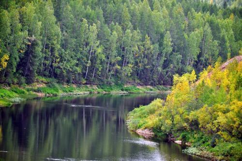 Экотуризм в России официально утвердят