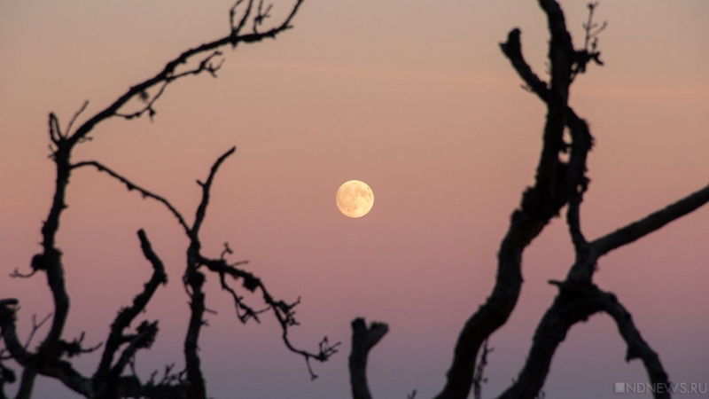 На первом месте &ndash; Крым: названы регионы, которые больше других пострадают от изменения климата