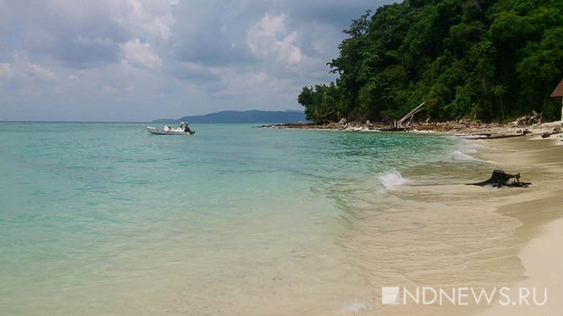 На Сейшелах, где вакцинировано 85 процентов населения, начался рост случаев ковида