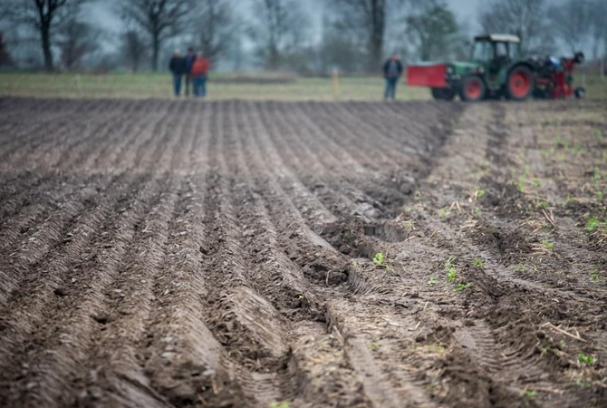 Накануне запуска рынка земли: что ждет украинских фермеров и иностранцев
